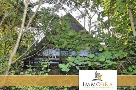 IMMOBRA: Seltene Gelegenheit! Familienfreundliches Einfamilienhaus mit großem Garten am See