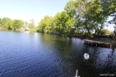 Blick zum Schwan - Natur, Ruhe und Freiheit – Ihr Platz am Wasser mit eigenem Steg und Seeanteil wartet