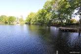 Blick See rechts - Natur, Ruhe und Freiheit – Ihr Platz am Wasser mit eigenem Steg und Seeanteil wartet